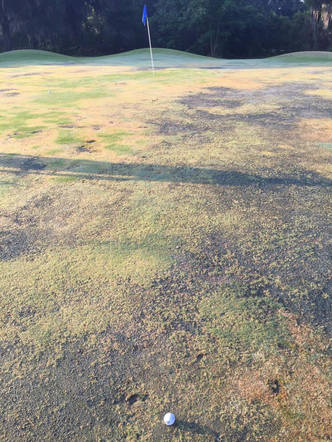 (Photo submitted by Joseph7147389 on 05/11/2015)