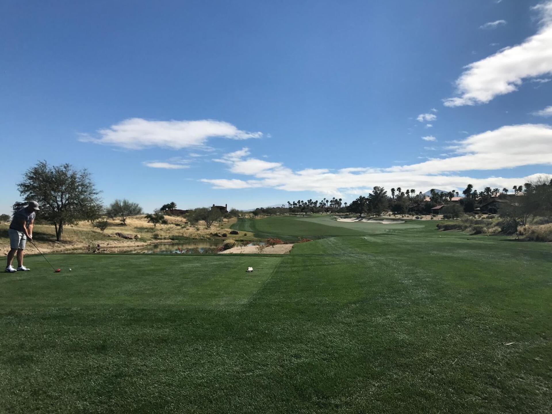 (Photo submitted by DanChelius on 11/17/2017)