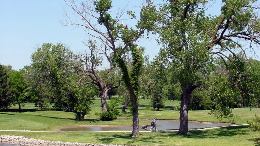 MacDonald GC
