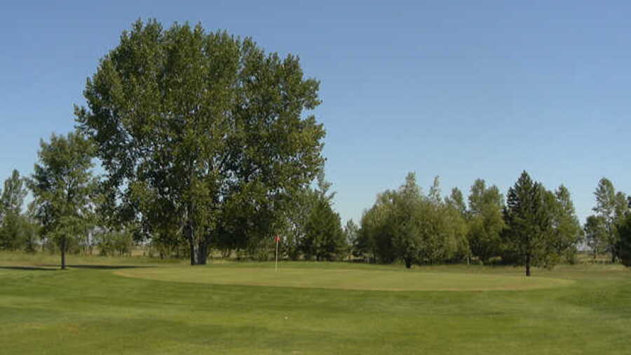 McVille CC: #7