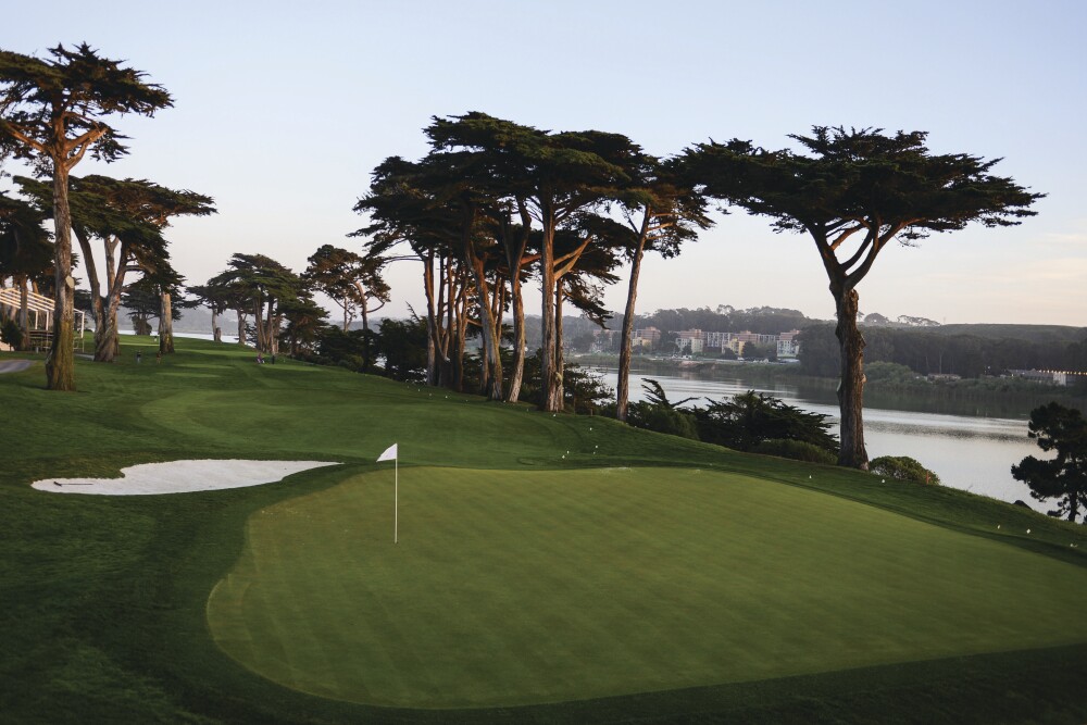 TPC Harding Park