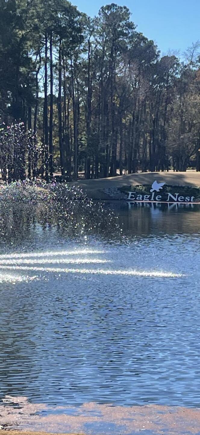 (Photo submitted by bnellis on 12/24/2025)