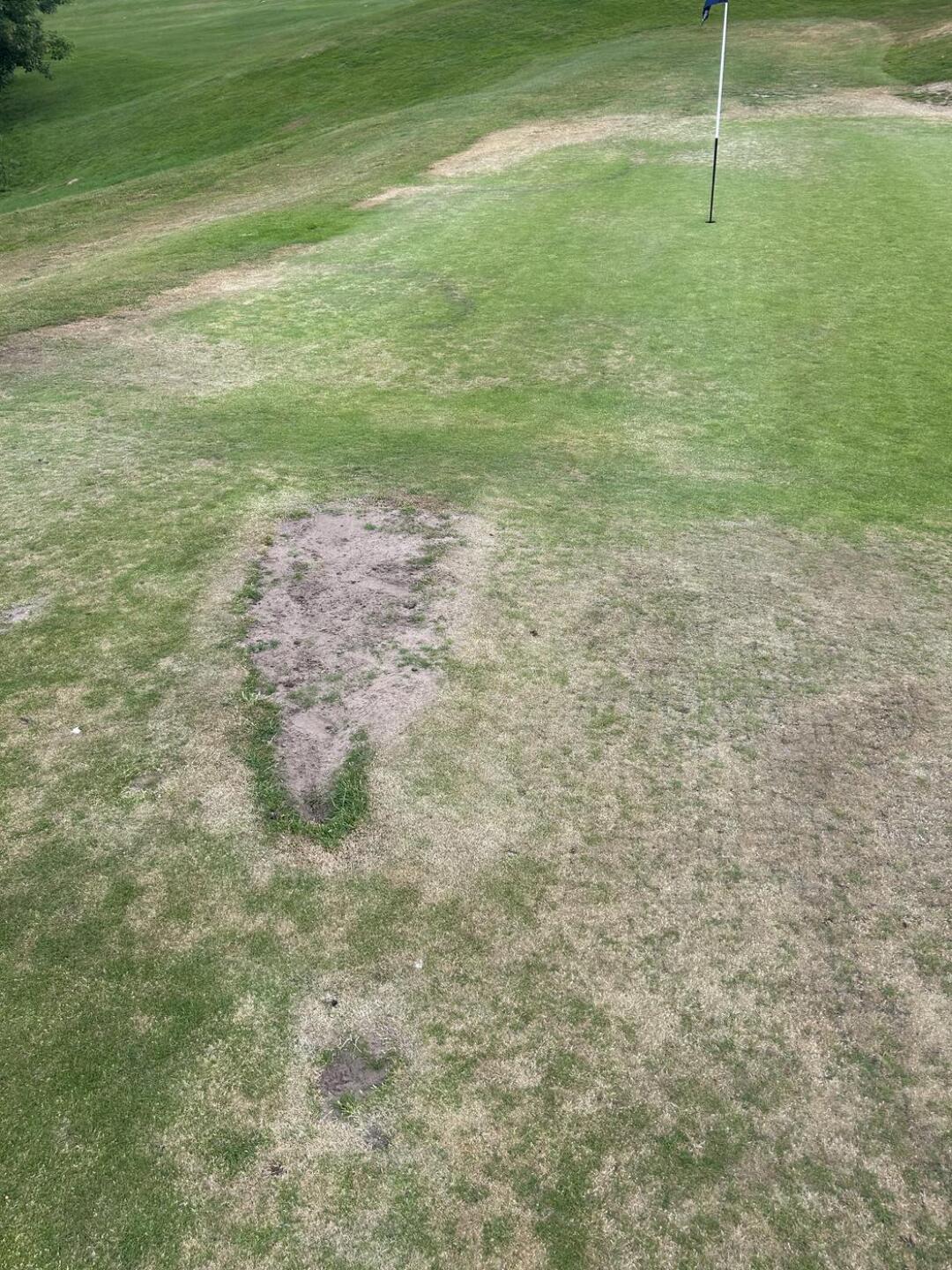 (Photo submitted by Drawle06 on 05/26/2025)