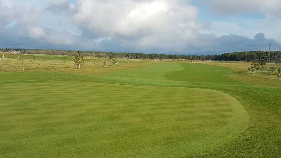 Linsberg GC: #8