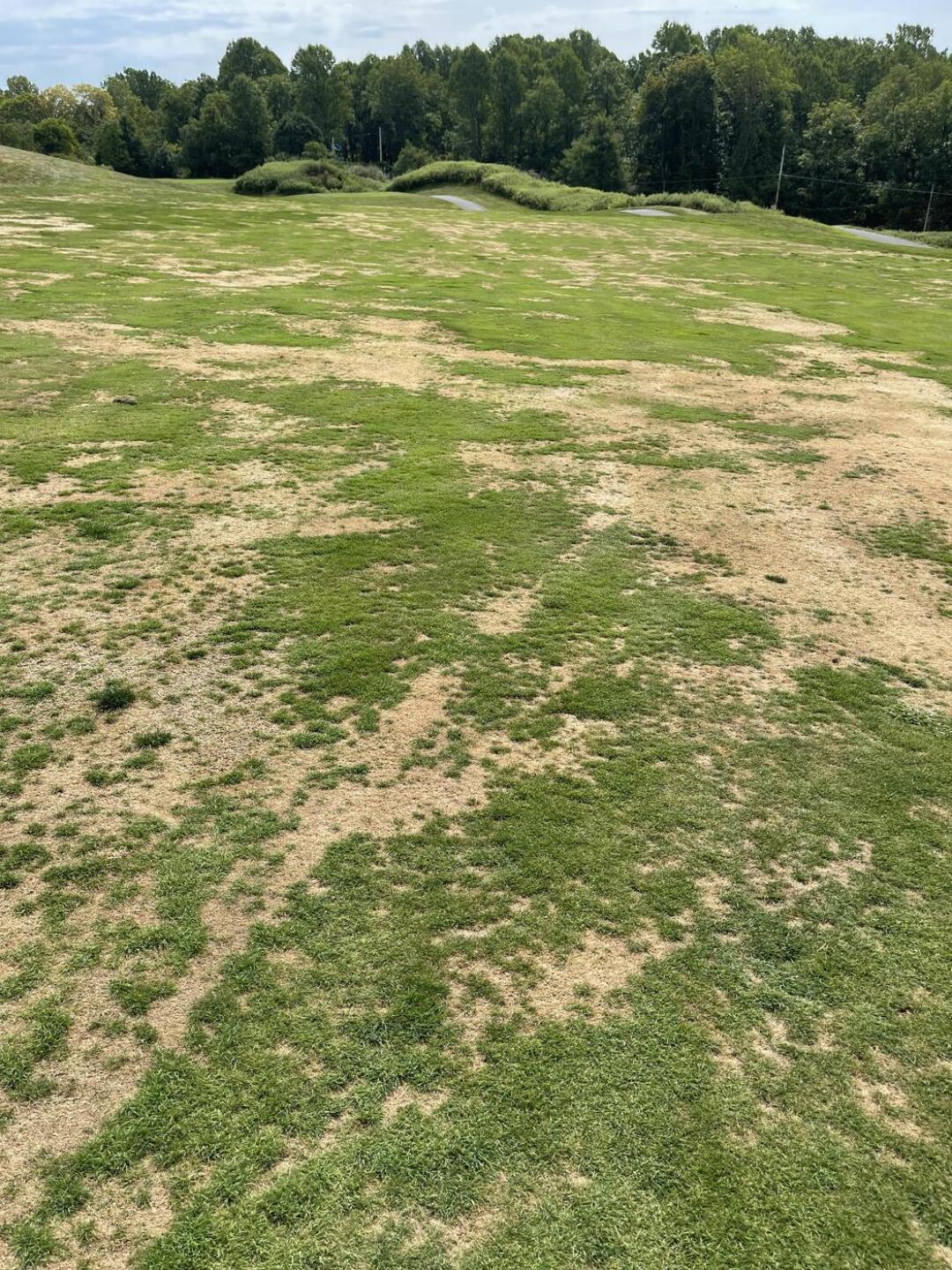 (Photo submitted by u5727946 on 09/04/2022)