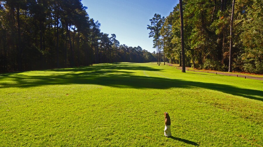 The Witch golf course - No. 1