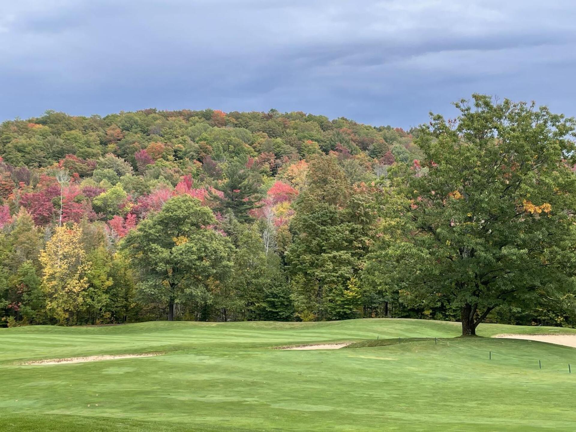 (Photo submitted by Ritzie89 on 10/03/2023)