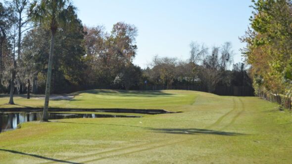 Palm Valley GC: #6