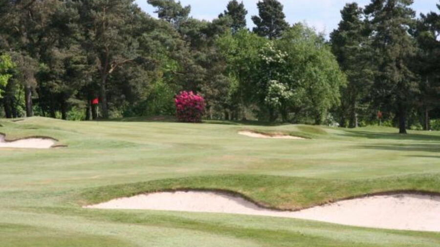 Bramall Park GC: #5