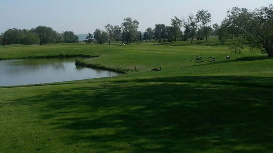 Keho Park GC: #5