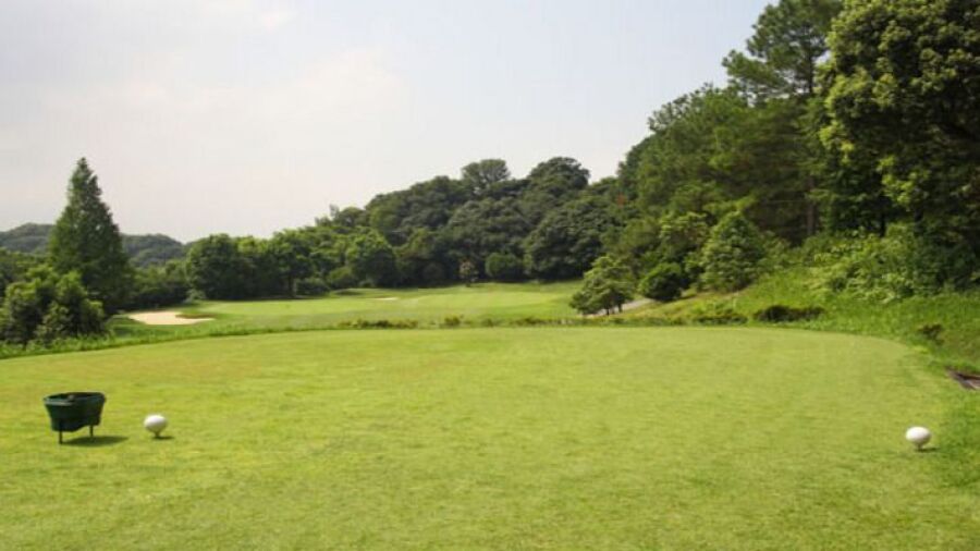 Chisun CC Hojo: #4