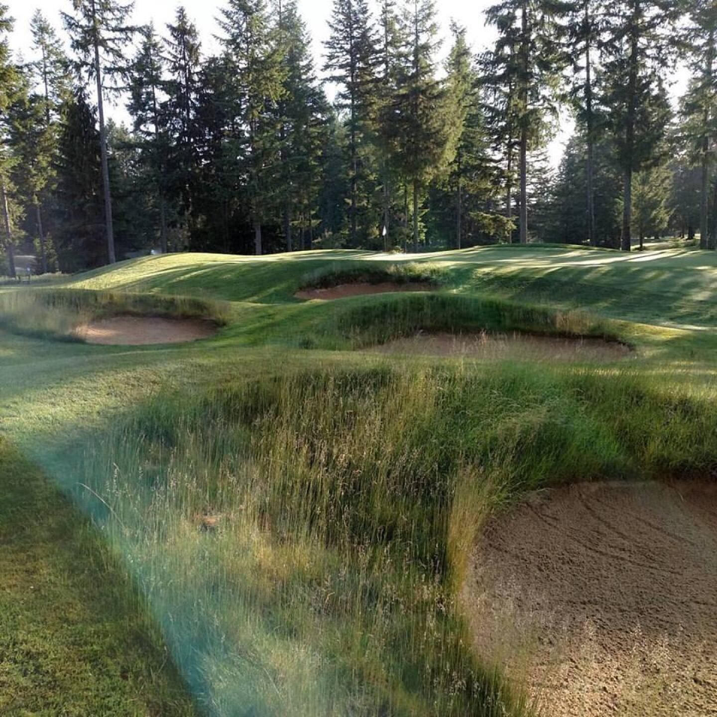 (Photo submitted by sorenj on 06/15/2017)