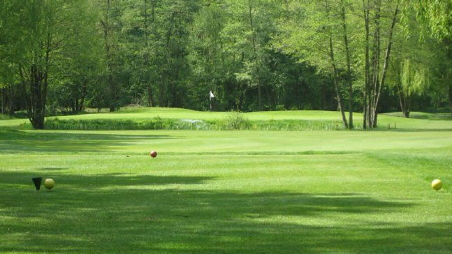 Pfalz Neustadt an der Weinstrasse GC – 18-hole: #16