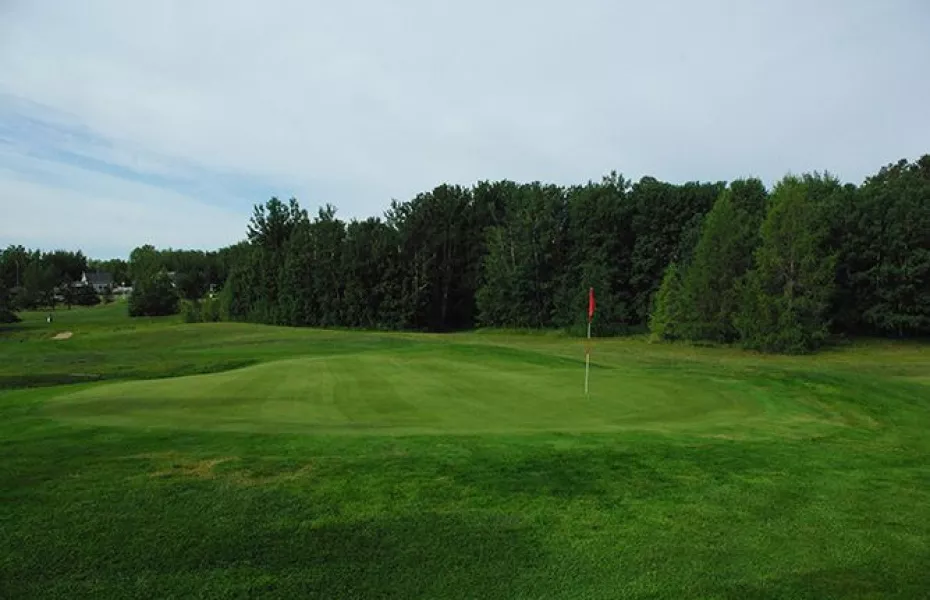 Gull Lake GC: #3