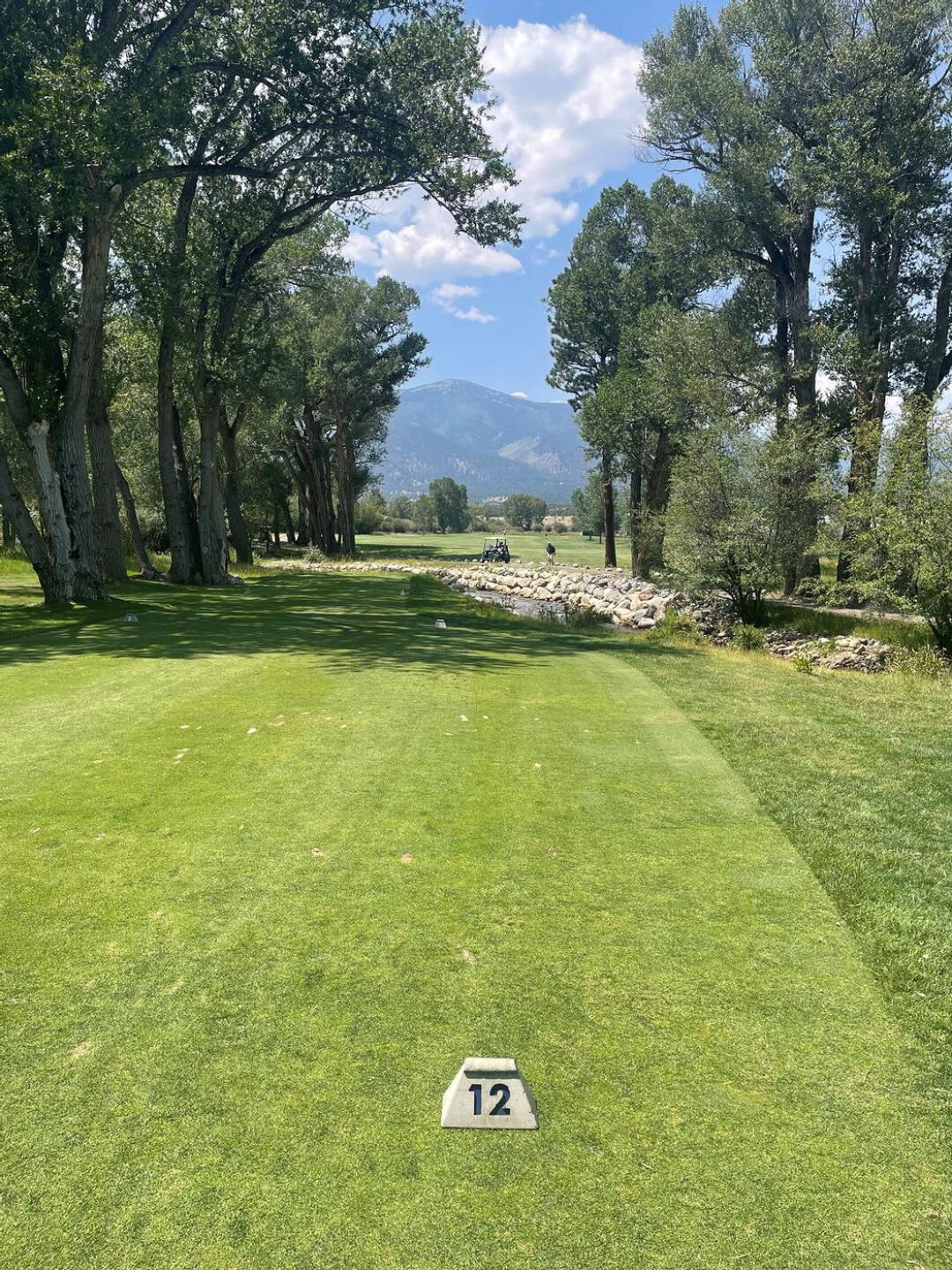 View from the tee box on hole three at Collegiate Peaks (Photo submitted by CharlesEmerson on 08/11/2026)