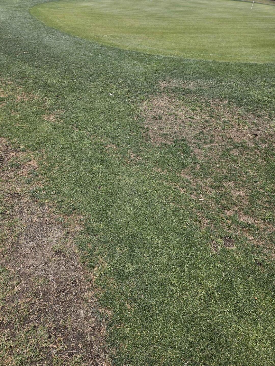 (Photo submitted by u314161622535 on 04/06/2026)