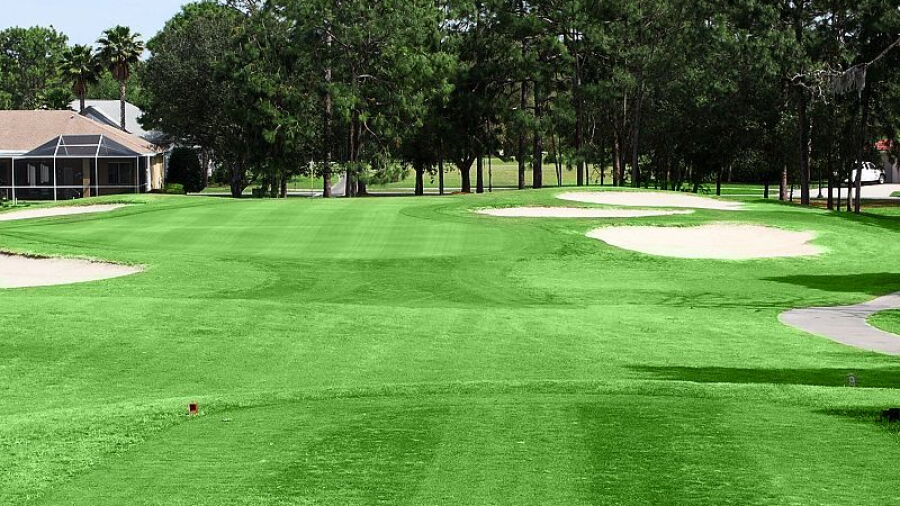 Silverthorn CC: #8