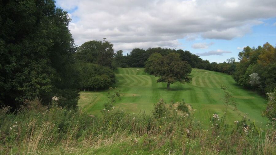 Balbirnie Park fairway