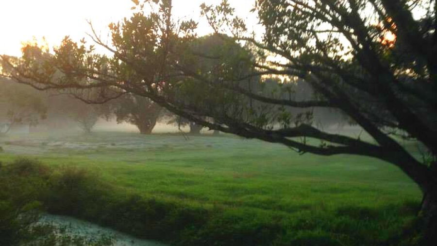 Sunset GC