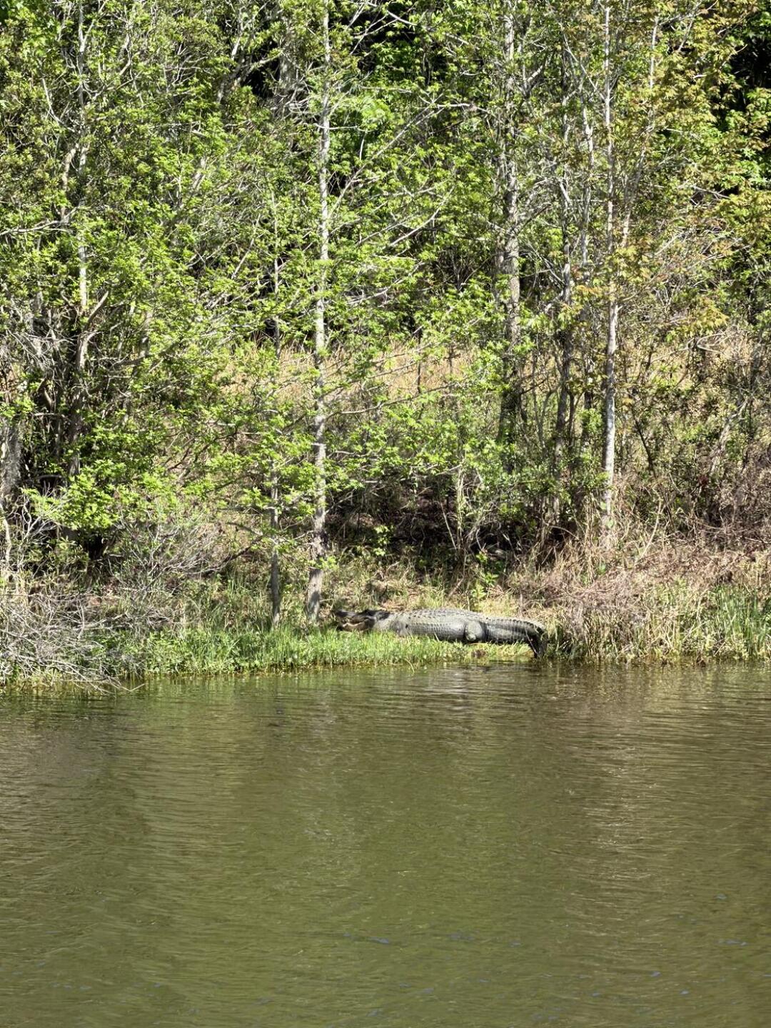 (Photo submitted by Tann69 on 03/20/2026)