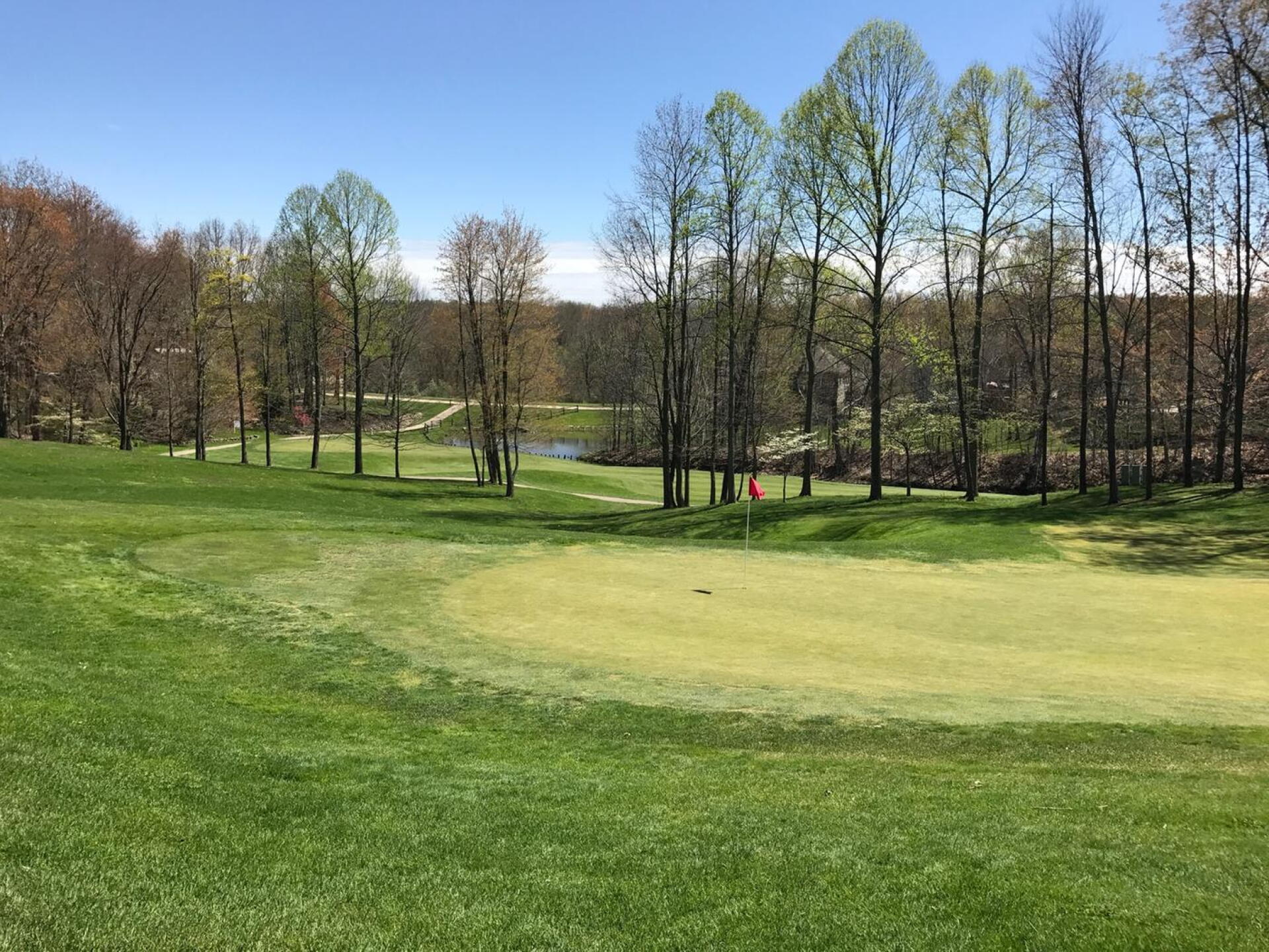 Par 3 16th green in the forefront with the Par 5 12th green and fairway in the foreground. (Photo submitted by carolinadad on 04/25/2017)