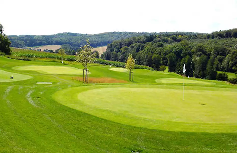 Heidelberg-Lobenfeld GC - 6-hole Short