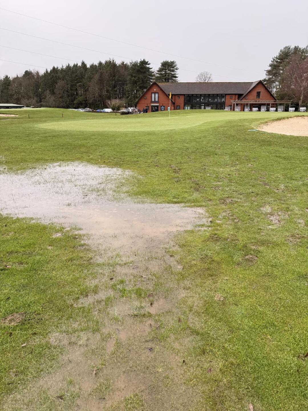 (Photo submitted by omOVymdB53lCODpXuJWi on 02/01/2026)