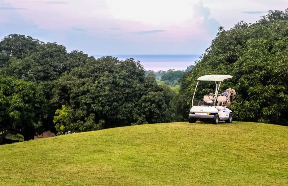 Bravo Golf Hotel - Dumaguete