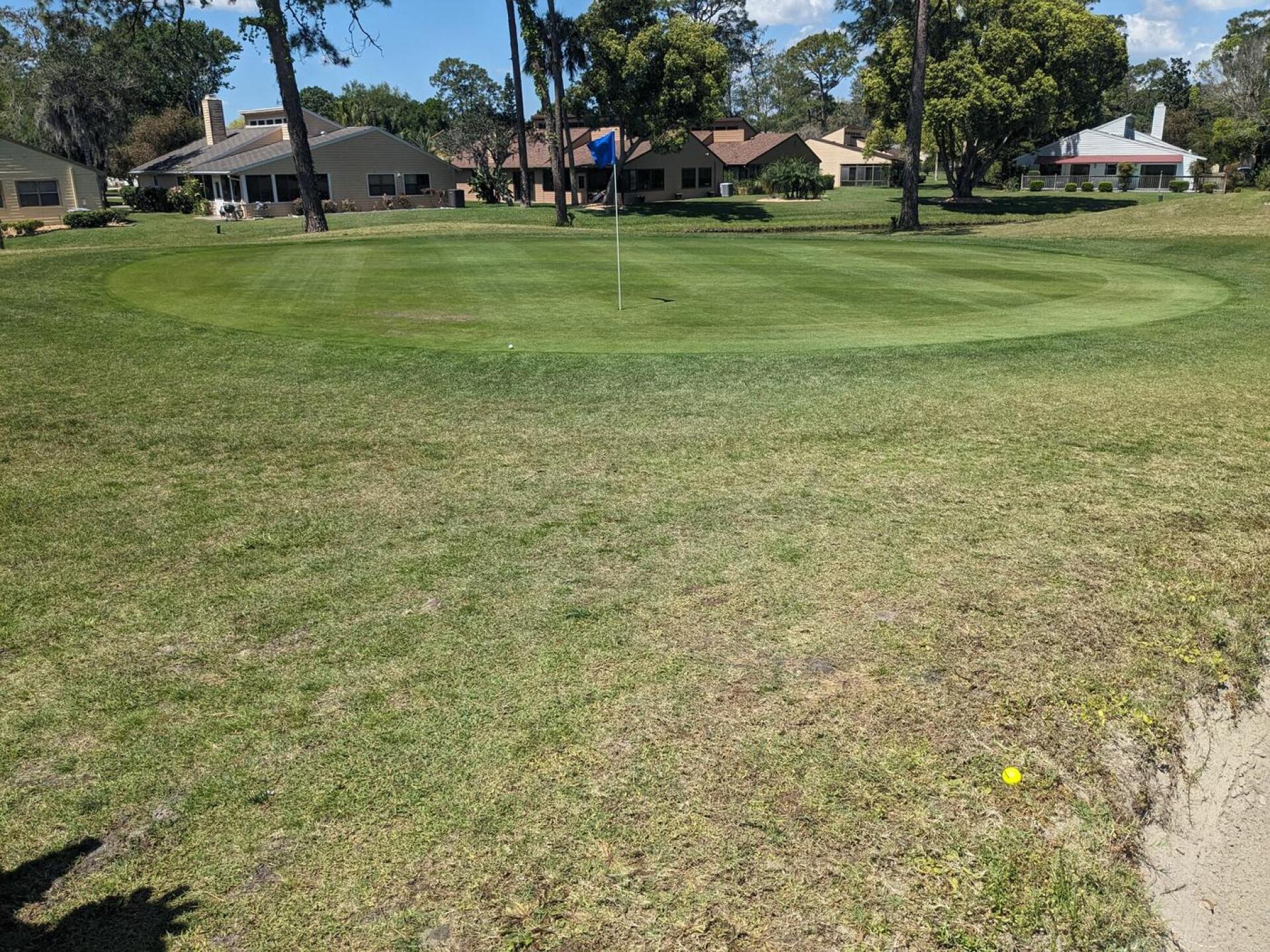 traps are marble craters (Photo submitted by Stiff1underU on 06/07/2024)