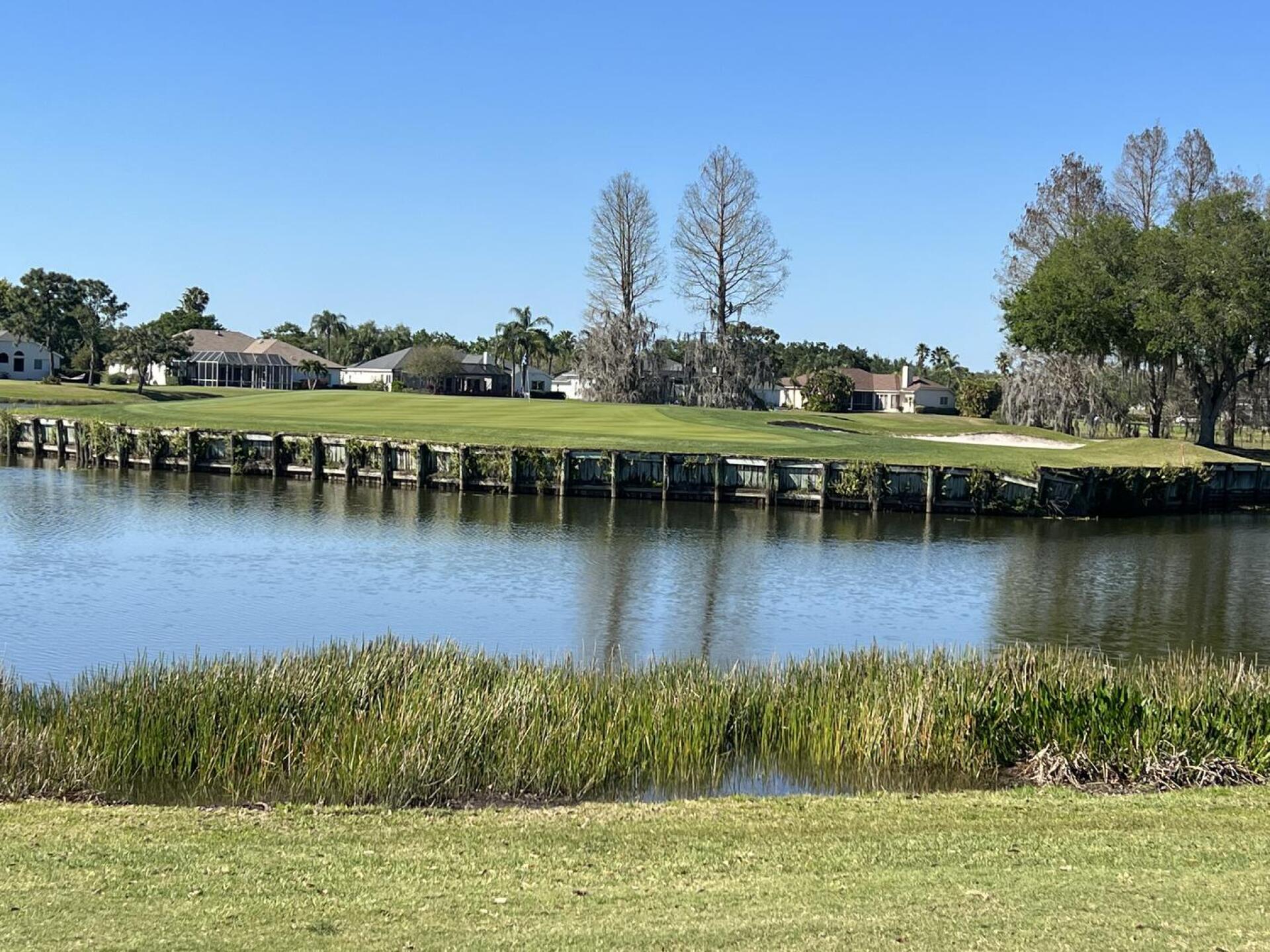 (Photo submitted by ScottJWatson on 03/17/2023)