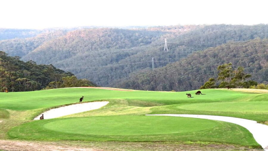 North Turramurra GC