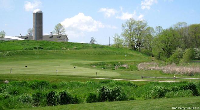 Here's hoping the Bull at Pinehurst Farms near Kohler doesn't go farm-to-fairway-to-farm.