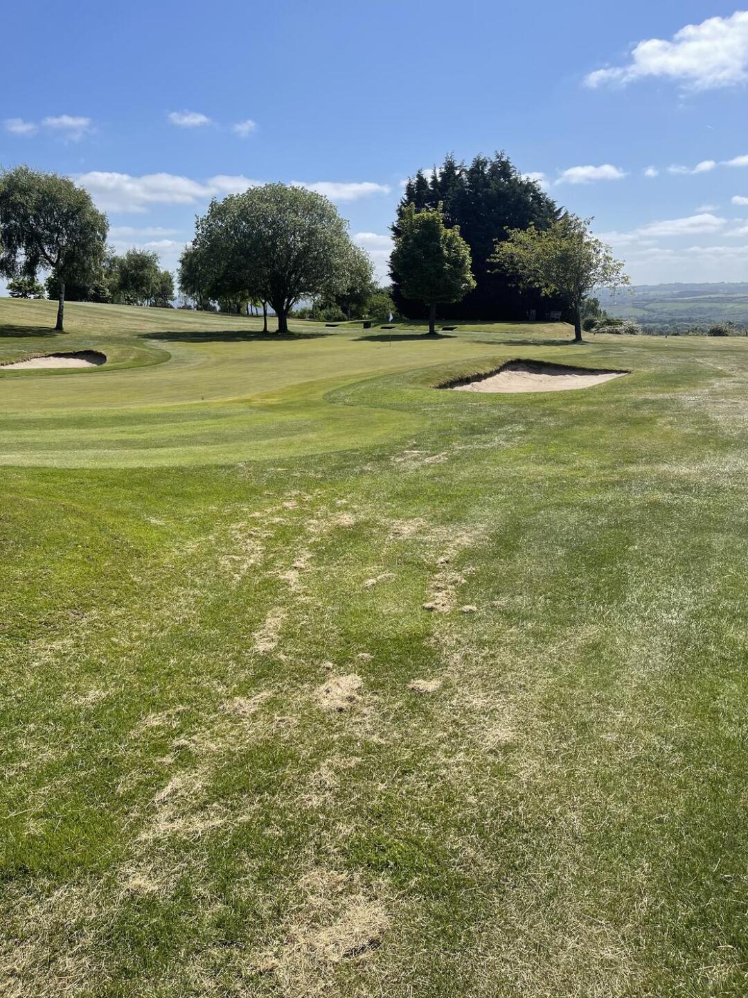 (Photo submitted by u314161654289 on 06/06/2023)