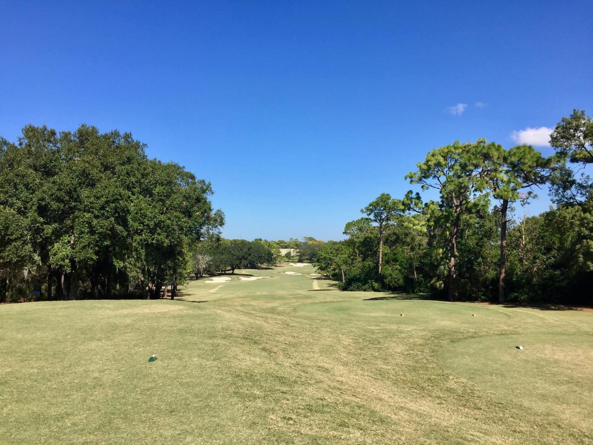 Bunkers, rough and a ribbon of fairway: the opening tee shot is a perfect introduction to the Copperhead (Photo submitted by TimGavrichGP on 12/20/2017)