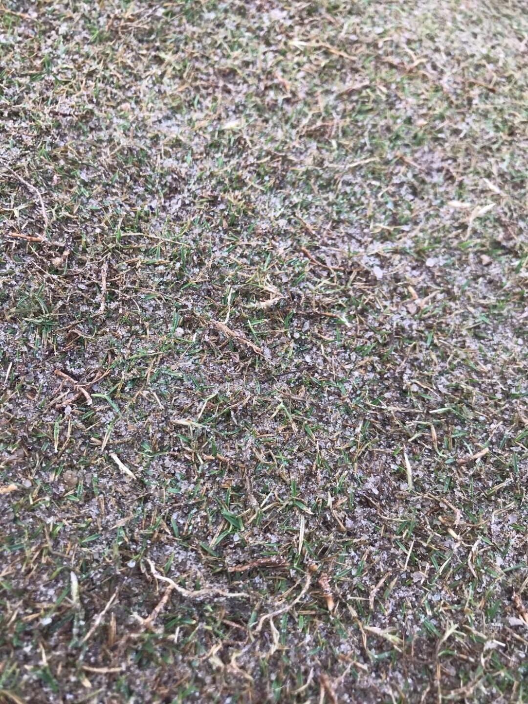 When putting your ball would bounce in three different directions (Photo submitted by u299734780 on 05/10/2019)