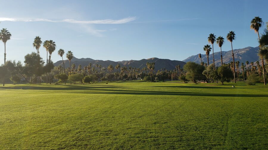 Mesquite GCC