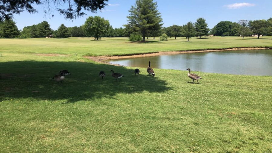 Eastland Green GC