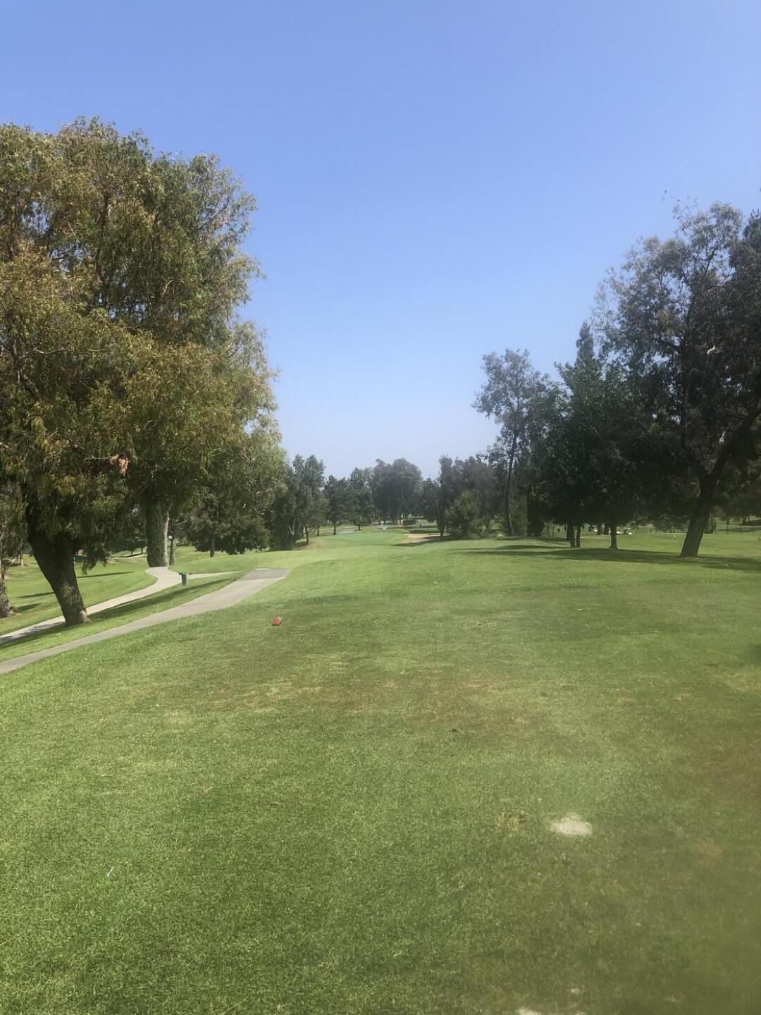 (Photo submitted by aleck006 on 06/03/2021)