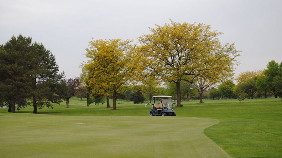 Mahoney GC