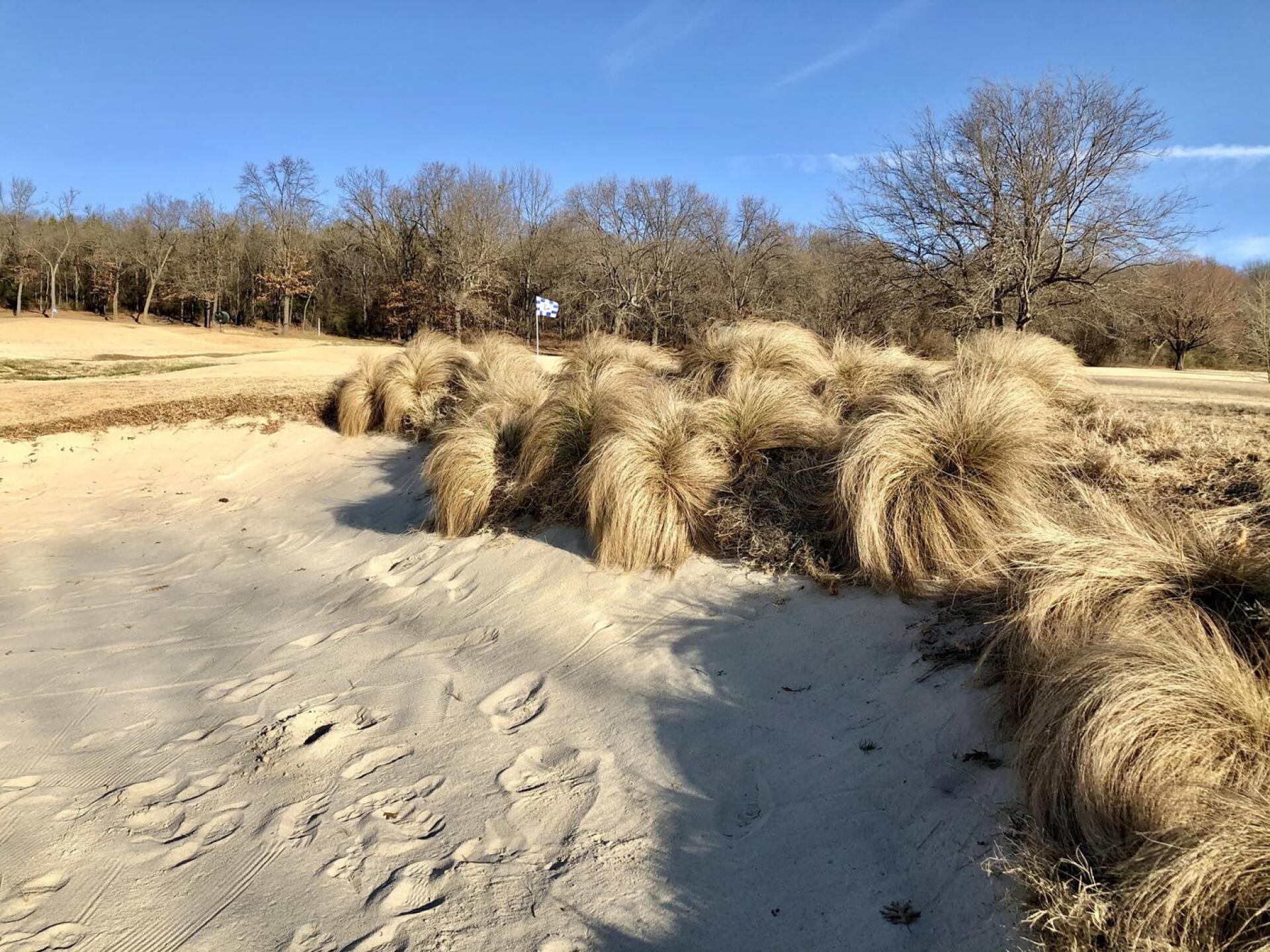 Par-4 third green (Photo submitted by BrandonWebb on 12/27/2020)