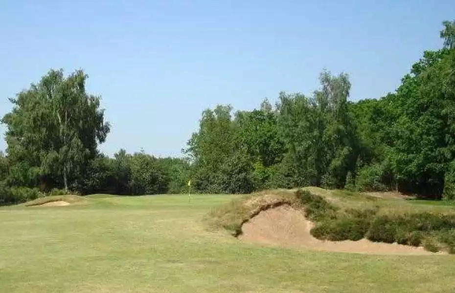 Woodbridge GC - Heath: #8