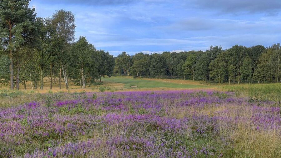 Sherwood Forest GC