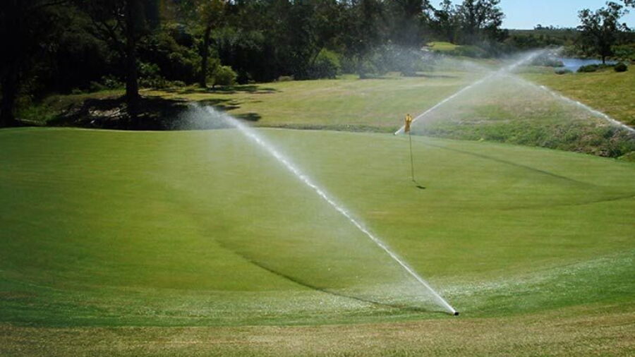 Wedgewood Park CC