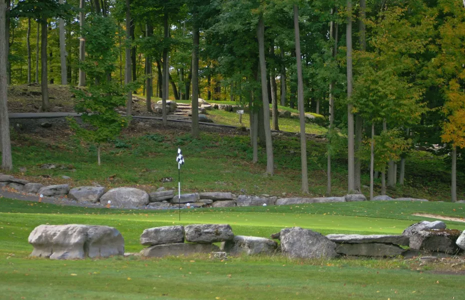 Black Bear Ridge GC: Green