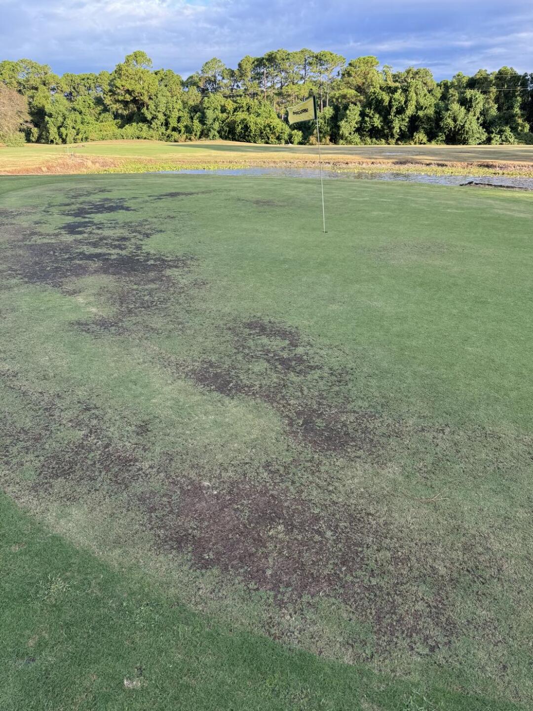 (Photo submitted by KStew55 on 10/10/2025)