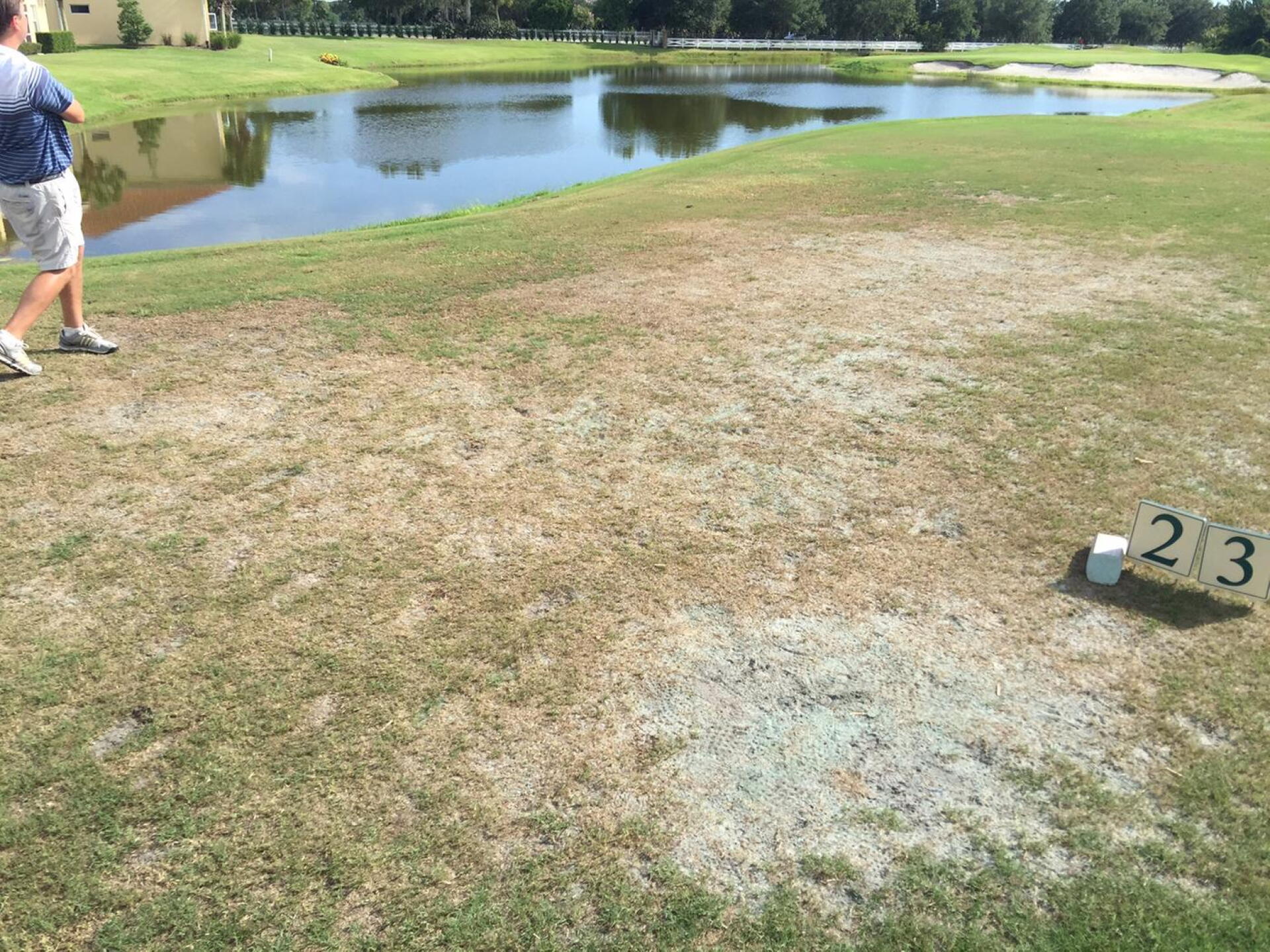 Really bad tee box (Photo submitted by jarrett3112794 on 07/11/2016)