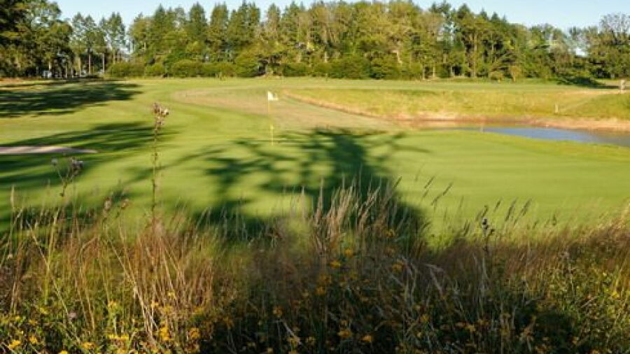 GC de Mortemart: #9