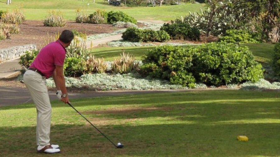 Tecina GC: #9