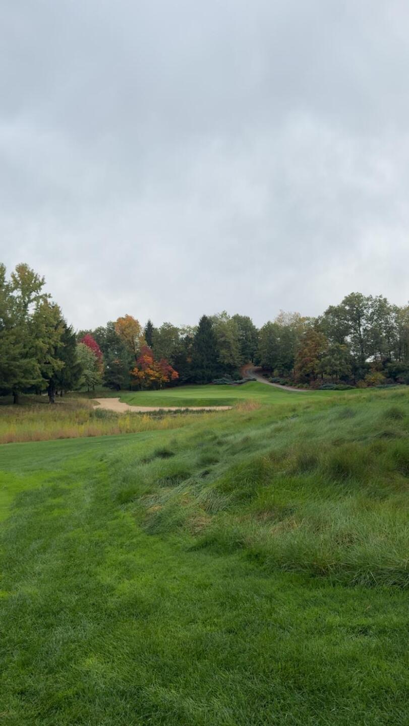 (Photo submitted by yyEGvwcvXImBjixCzgrO on 10/19/2025)