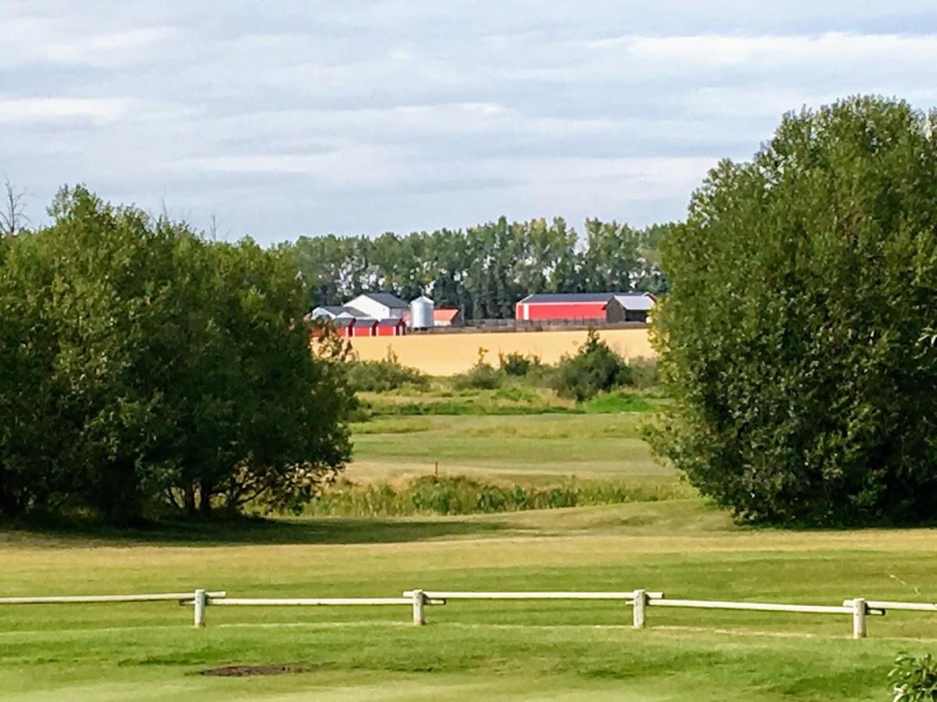 (Photo submitted by Rickrw on 09/01/2017)